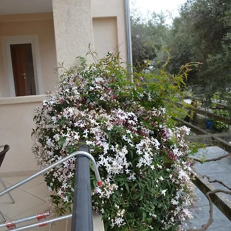 Maslina Affittacamere Budua